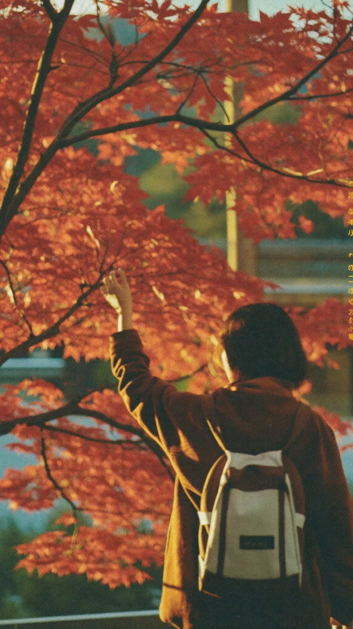 京都旅拍